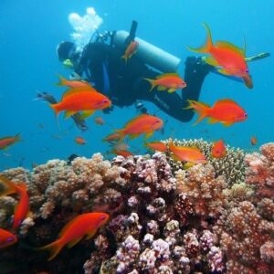 Tarkarli Beach Scuba Diving1-min