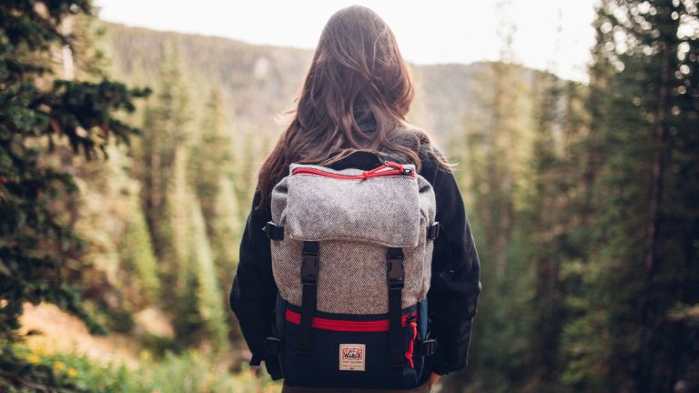 10 Best Backpack Brands In India 2023 Travelothon