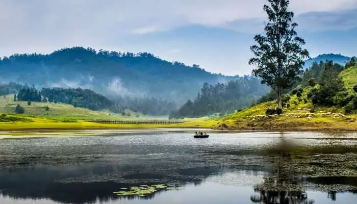 Kodaikanal   trekking Tamil Nadu