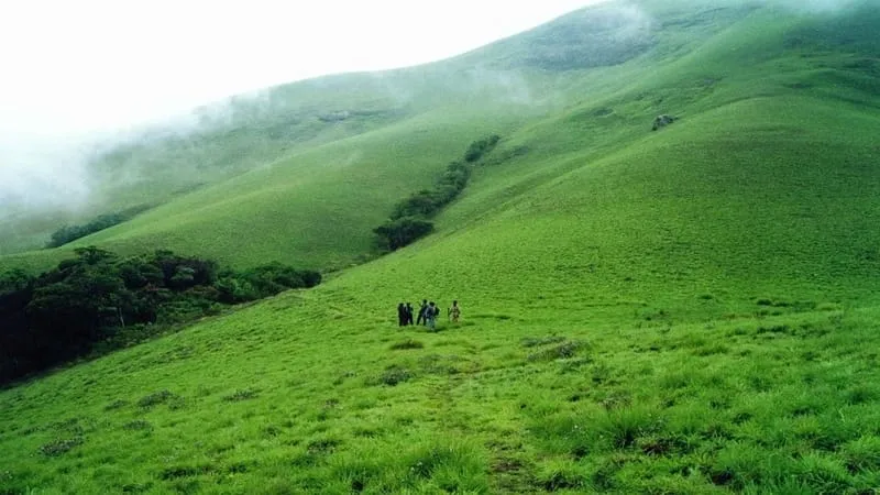 Grass Hills  trekking Tamil Nadu