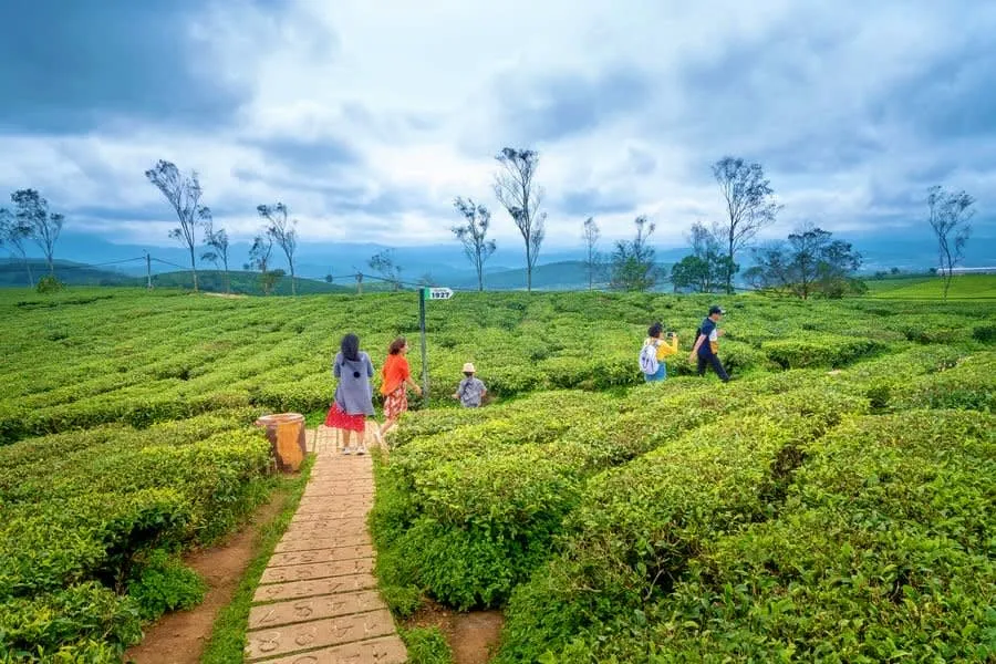 Glenmorgan Trek