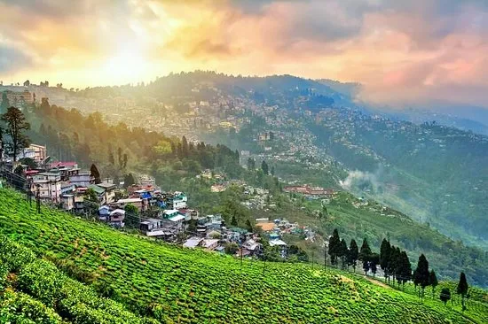 Darjeeling Places to visit in India with family in low budget