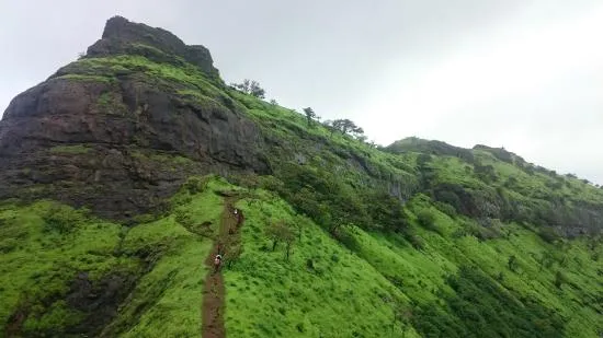 Popular Night Treks Near Mumbai