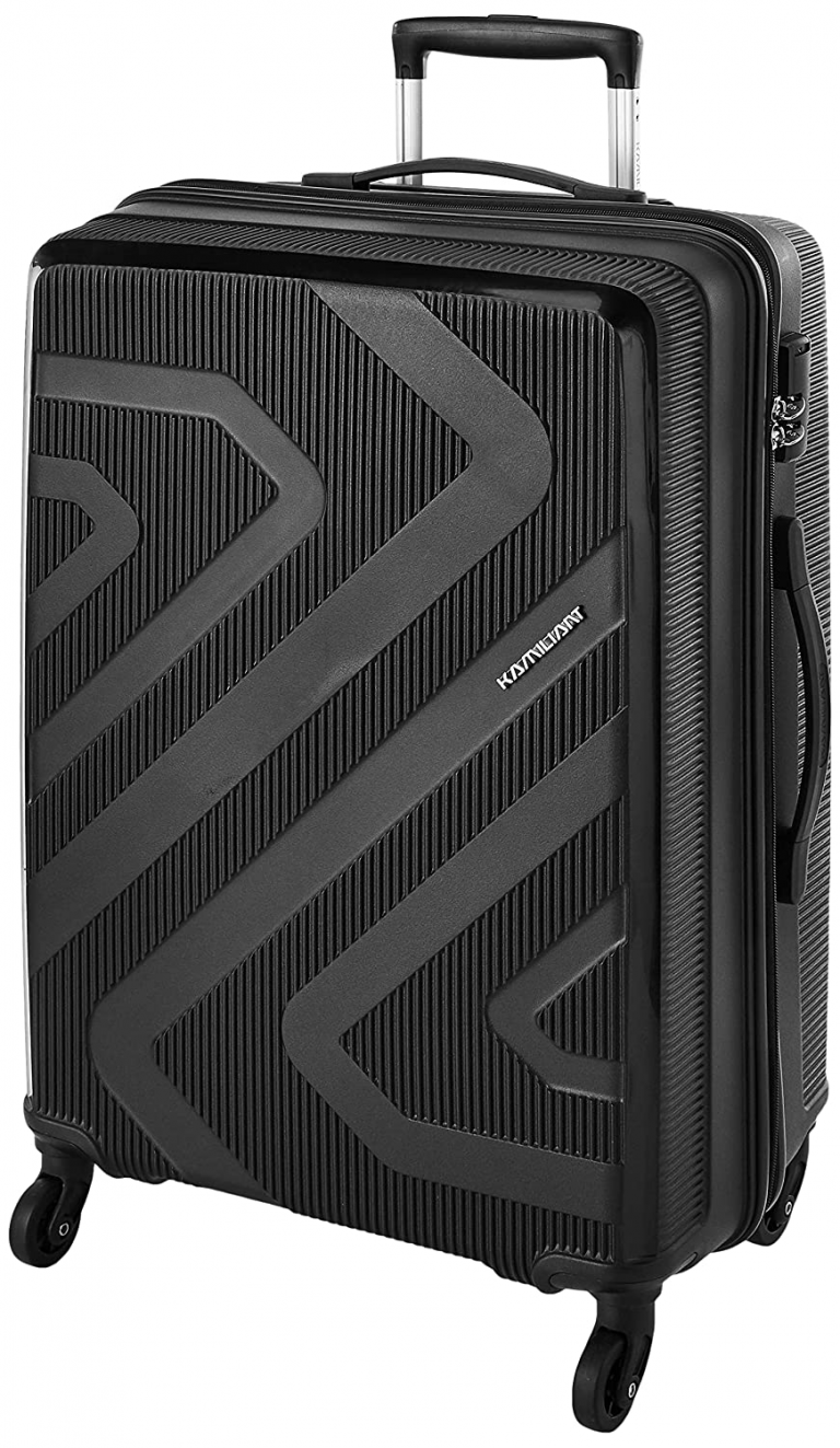 Top 13 Lightweight Travel Trolley Bags in India 2024 • Travelothon