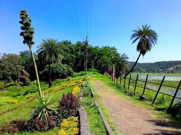 Wadali Garden  Best Places To Explore In Amravati 2022