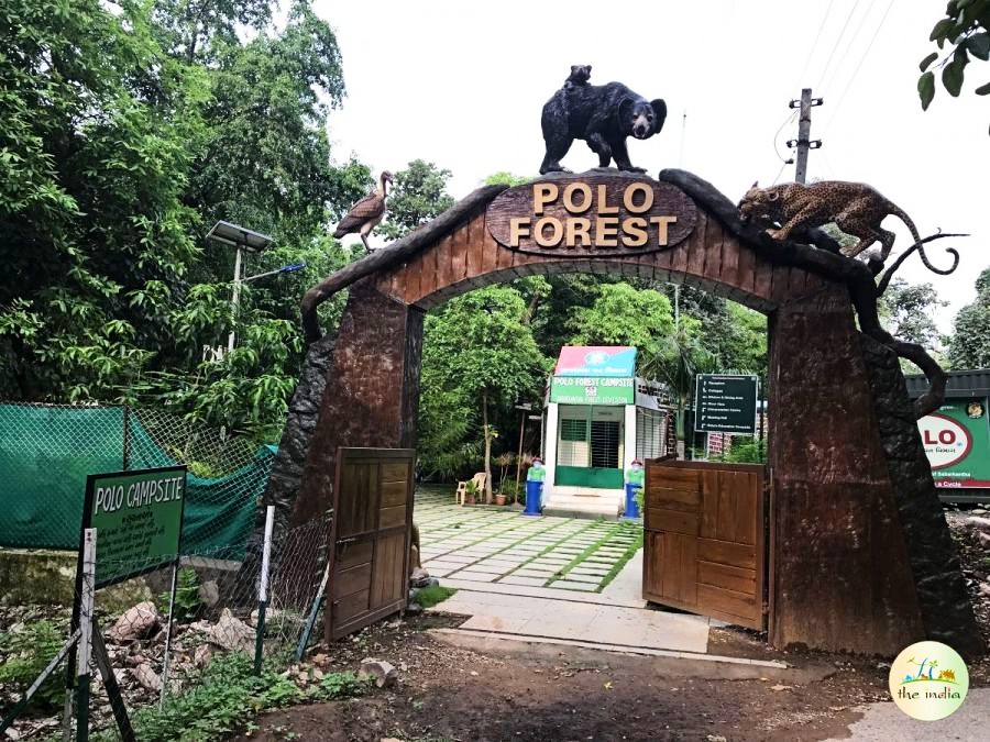 Polo Forest Here Are 7 Best One Day Picnic Near Ahmedabad