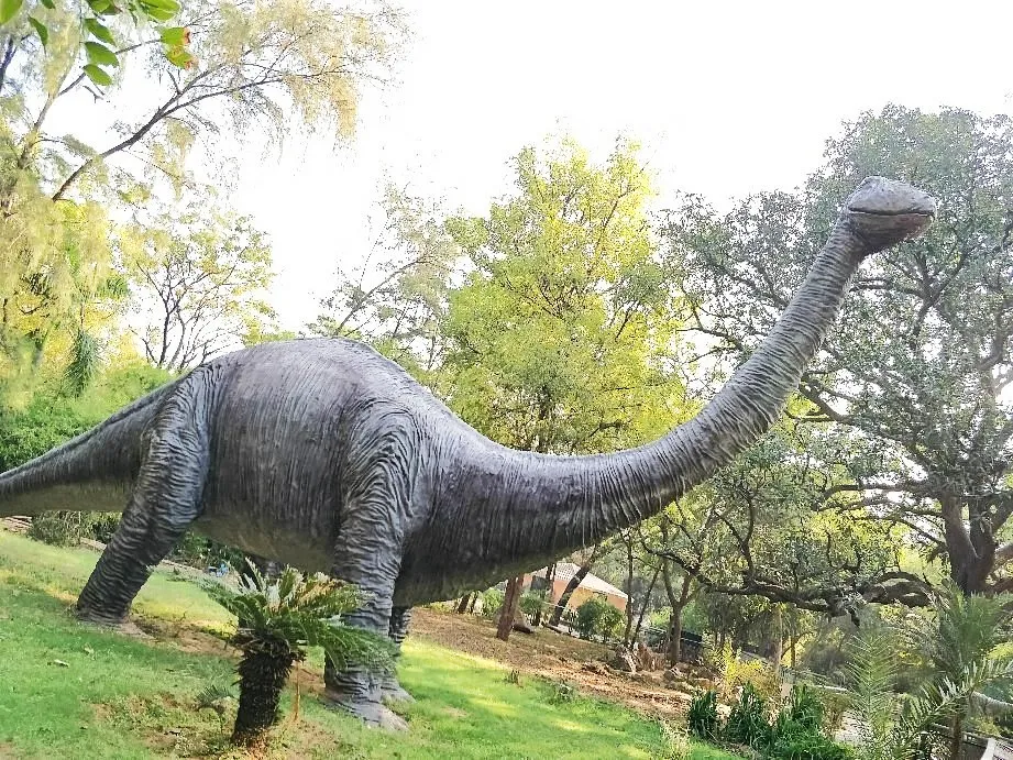 Dinosaur Park Indroda