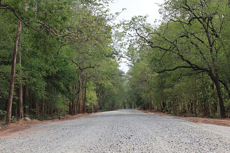 Sitanadi Wildlife Sanctuary