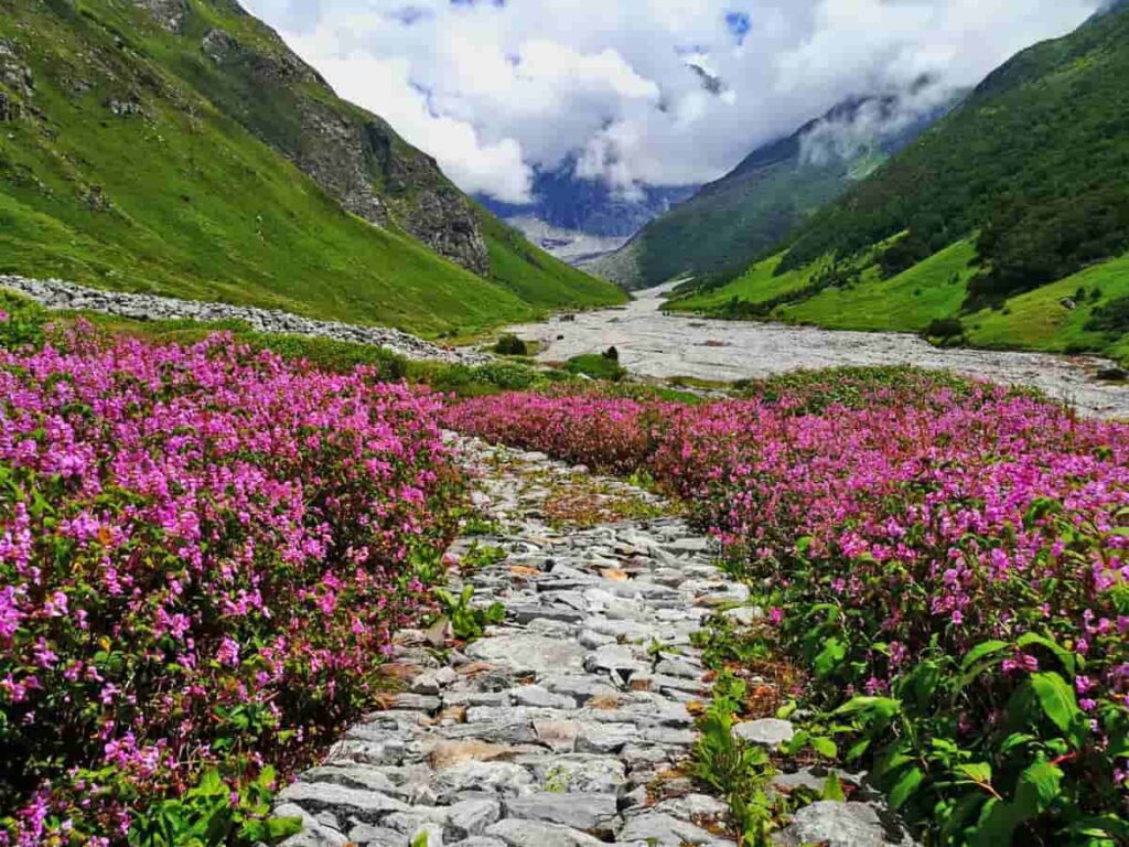 Valley of Flowers Trek, Uttarakhand Discover the Top 10 Trekking Places in India