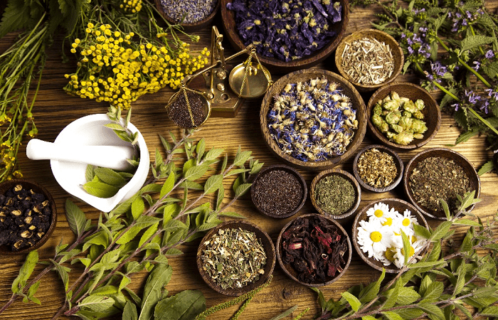 Famous in India Ayurveda