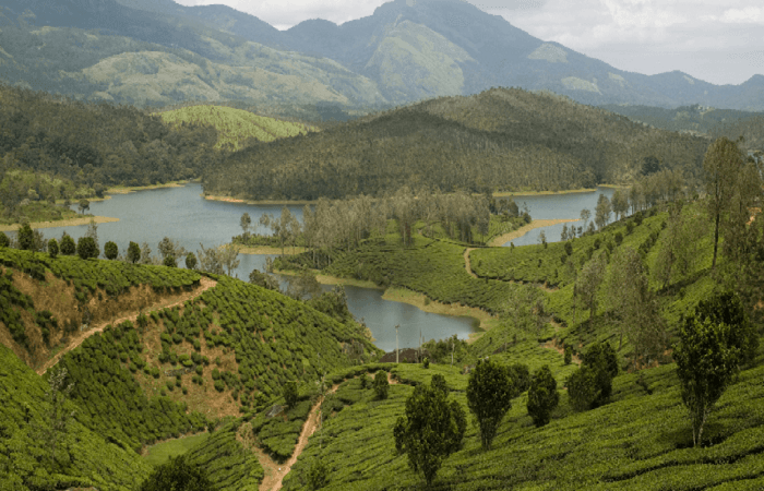 Yelagiri trekking 