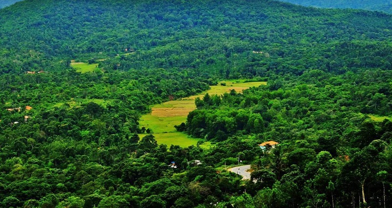 Coorg: Beautiful Hill Station