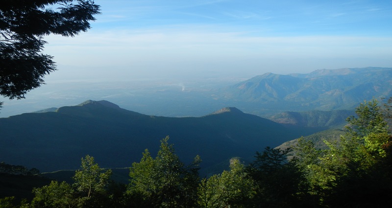 Palani Hills: Must Visit Hill Station In Tamilnadu