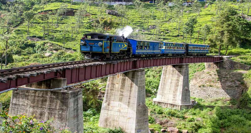 Mettupalayam to Ooty 13 Best Scenic Train Routes in India: Journey Through Paradise