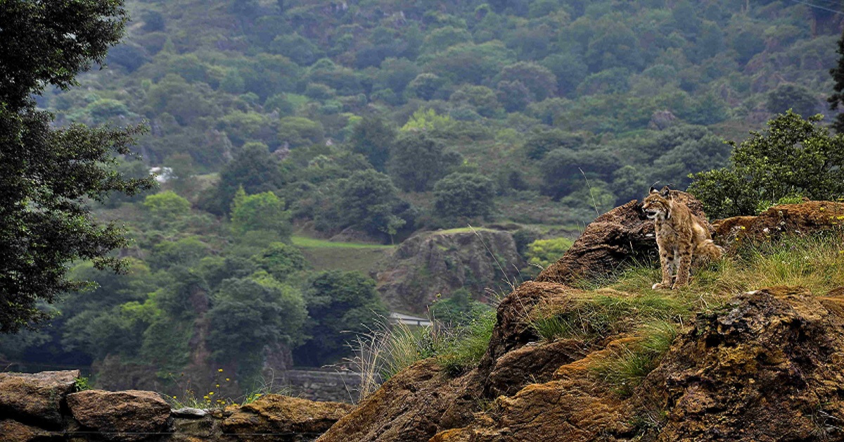 Secret Places In India