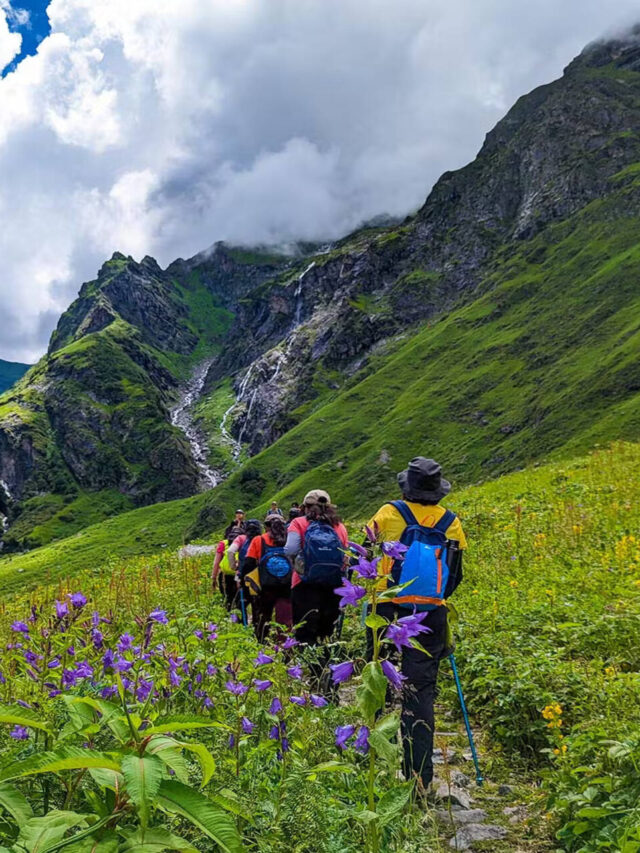treks (1)