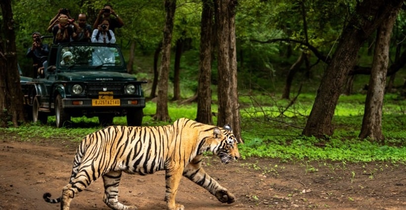 35 Tourist Places Near Raipur To Visit Pench National Park