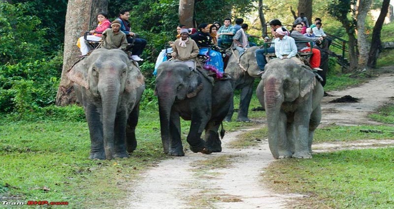 Dispur: Assam zoo