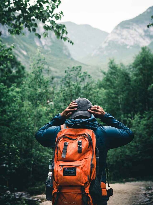 HD-wallpaper-tourist-traveler-backpack-cap-forest_1_11zon