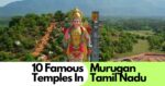 best tourist place in raipur