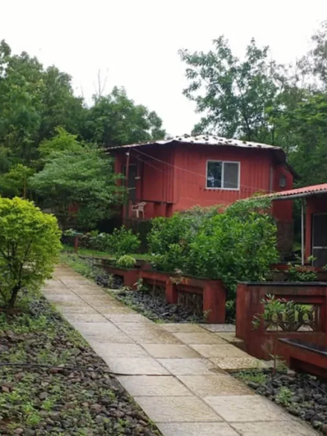 wildcamp-resort-banner.jpg