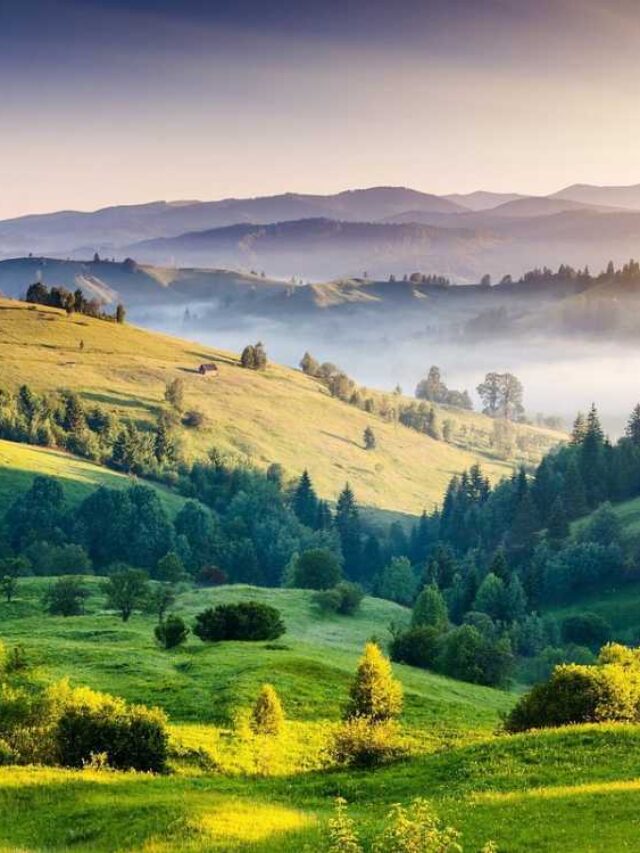 KODAIKANAL