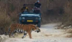 Jim Corbett National Park Ticket Price