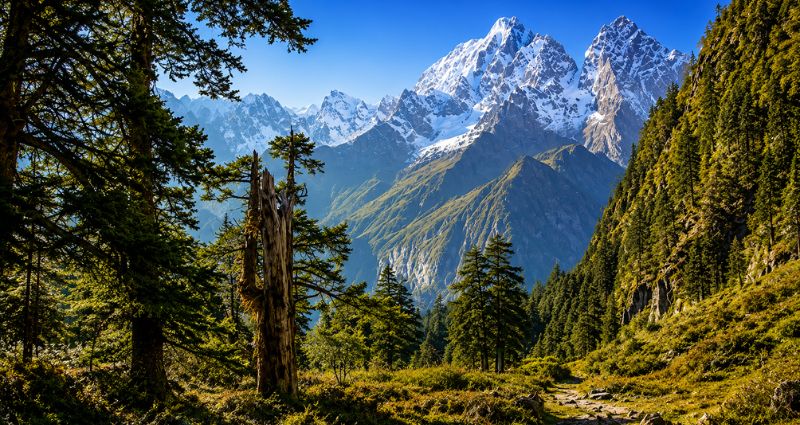 Manaslu Circuit: High Pass, Long Days, Remote Conditions