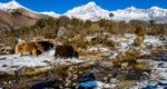 Nepal Adventure Travel Guide: Famous Treks, Remote Trails, and Himalayan Expeditions